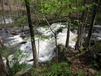 IMG 4616
